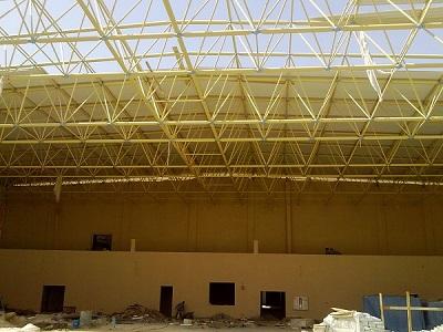 Space Frame Roof